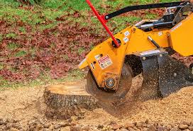 How Our Tree Care Process Works  in  Highlands, TX